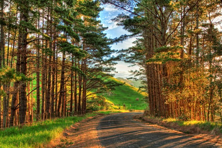 Beautiful View - view, sky, beautiful, blue, green, tree