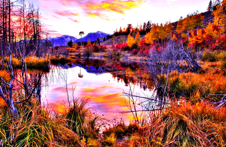 If I were there, .... - colorful, view, yellow, reflection, branches, lake, mounts, landscape, hills, nature, forest, beautiful, pink, leaves, beauty, season, autumn, sky, trees, peaceful, photography, water, leaf, mountains, calm, pretty, clouds, orange, tree, grasses, scene, peak, lovely, red, scenery, photo