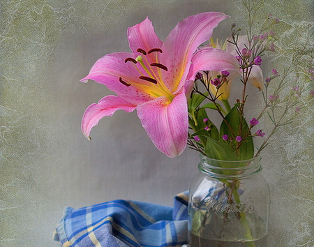 Lilly - green, lily, pink, vase