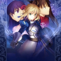 Fate/Stay Girls