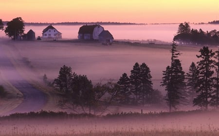 fields in the mist - filds, farms, purple, mist