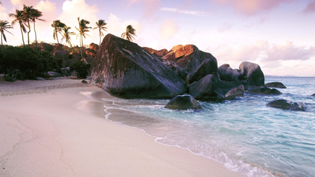 rocky beach - pink sand, beach, palms, rocks