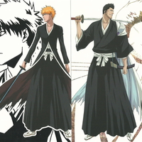 Kurosaki Ichigo & Kurosaki Isshin