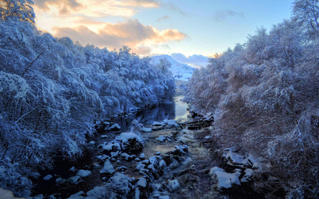 Coldstream Creek - sky, frosty, sunlight, winter, lovely, pretty, cold, river, beautiful, clouds