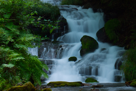 Waterfalls - nature, trees, greenery, water, waterfalls