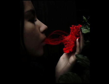 I know passion's taste - mouth, pic, profile, dark, red, image, flower, black, hand, passion, picture, green, woman, taste, background, wall, wallpaper