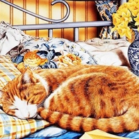 Orange Tabby Sleeping