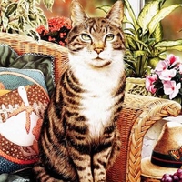 Brown Garden Tabby Cat