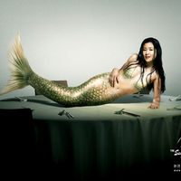 mermaid on dining table