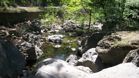 Holy jim creek - holy jim, water, nature, creek