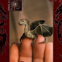 Baby-Dragon