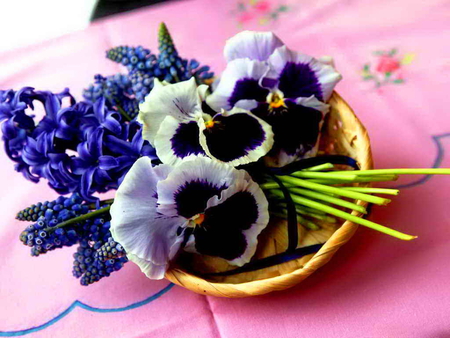 Fragrant flowers - nice, lovely, spring, fragrant, pretty, beautiful, violets, flowers, colors, plate, hyacinth