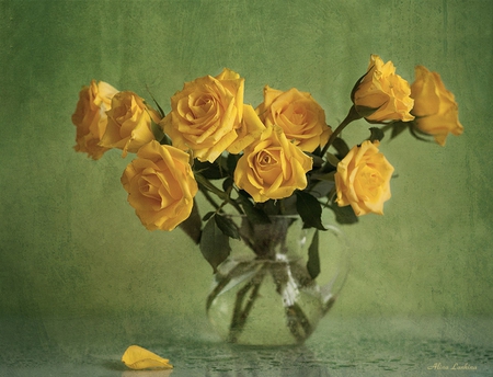 Yellow roses - beauty, roses, delicate, water drops, wonderful, still life, vase, petals, beautiful, leaves, flowers, cute, yellow roses