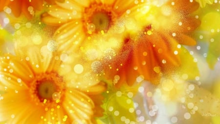 Gerbera Glow Gems - gerberas, summer, shine, spring, yellow, orange, flowers, golden, daisies, lights