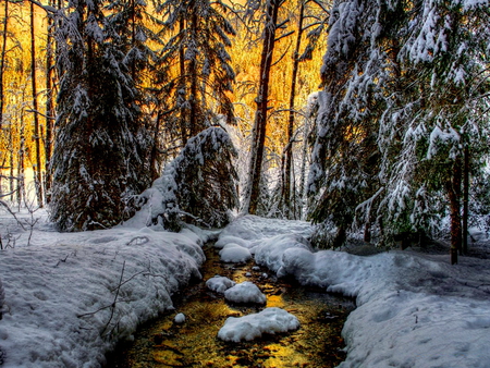 Golden sunrise - trees, winter, beautiful, creek, snow, sunrise, forest, river, nature, golden