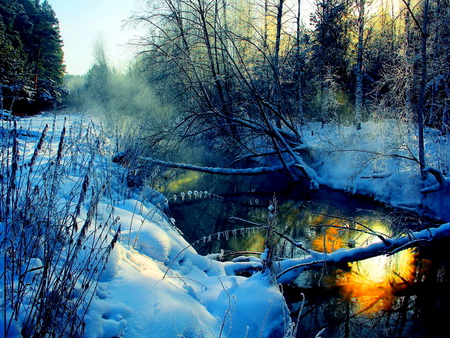 Sun reflections - sunlight, winter, water, beautiful, creek, winter sun, forest, reflection, river, nature, mist, cold, frost, sun