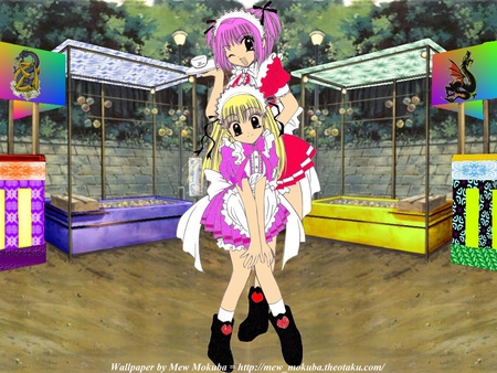 Ichigo Momomiya & Berry - mew mews, mew mew power, berry, tokyo mew mew, anime, ichigo, other, festival