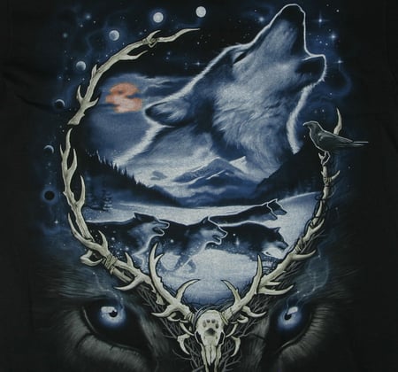 Wolf Eyes - wolf, animals, blue, eyes