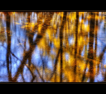 Autumn Reflection - nature, water, reflection, autumn