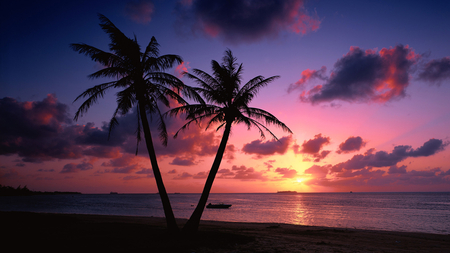 Pink Sunset - ocean, pink, water, sunset, sea