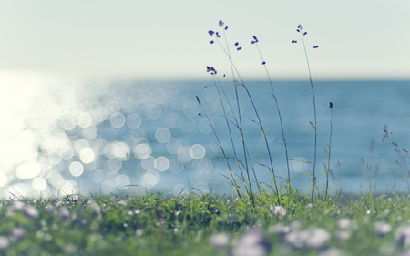 A Day at the Beach - sky, ocean, beach, sunlight, heaven, nature, blue, grass, sea