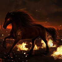 fire horse