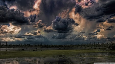 mean skies hdr - dark clouds, hdr, trees, swamp