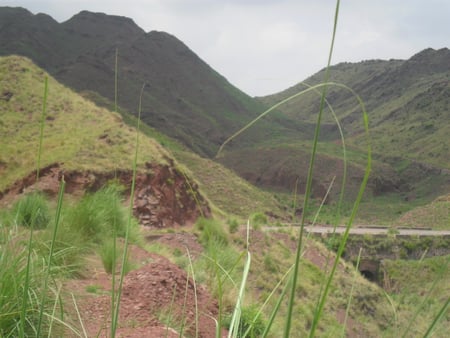 dak ismail khel,cherat,kpk,pakistan - cherat, pakistan, kpk, dak ismail khel