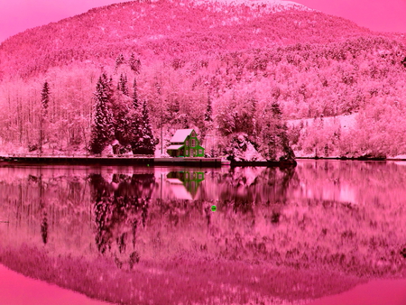 World of pink - nice, cottage, lake, mountain, trees, water, mirrored, lovely, world, nature, lonely, reflection, beautiful, cabin, house