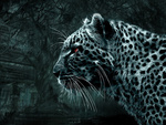 Digital leopard