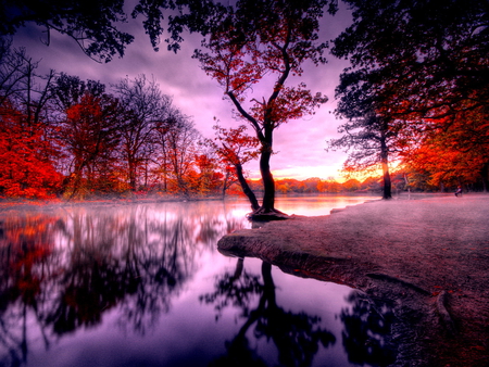 Calm waters - calm, trees, beautiful, sunrise, reflection, river, sunset, nature, riverbank, autumn, waters, lake, peaceful