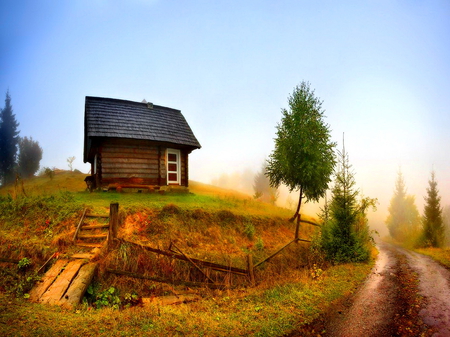 Country house - house, lonely, cabin, beautiful, steps, tree, calmness, countryside, nature, cittage, country, peaceful, sky