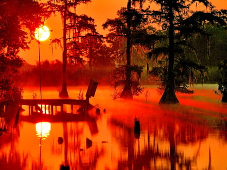 Sun reflection - sunlight, trees, beautiful, mirrored, sunshine, sunrise, forest, reflection, orange, glow, glowing, nature, waters, golden, sun