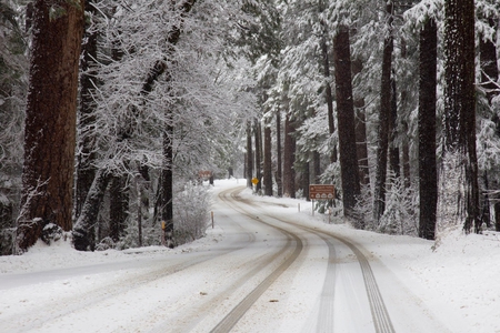 Yosemite street in snow