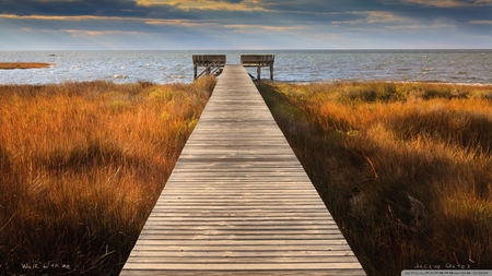 walk with me - sea, grass, beach, pier