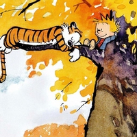 calvin & hobbes