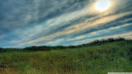 sun and sky - sky, fields, sun, grass