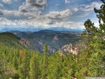 forest on mountains hdr