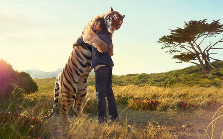 My Friend Tiger - people, animals, grasslands, savannah, widescreen, view, amazing, cool, amity, grass, asia, india, beasts, beautiful, leaves, stones, nice, hug, sky, trees, men, photography, image, leaf, foliage, man, clouds, prairie, plants, picture, affection, boy, cats, plain, veld, friendship, awesome, tiger, photo, friend