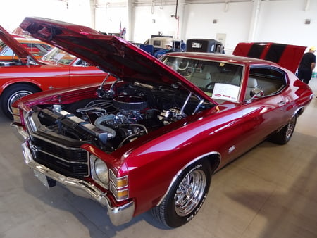 1971 Chevy Chevelle - 1971 chevelle, chevy chevelle, chevy, 1971 chevy