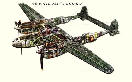 P38 Lightning - ww2, lockheed, plane, airplane, antique, world, p38, war, wwii, classic, lightning, p-38