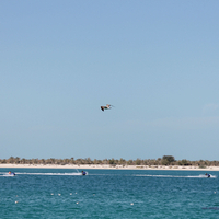 Abu Dhabi Beach