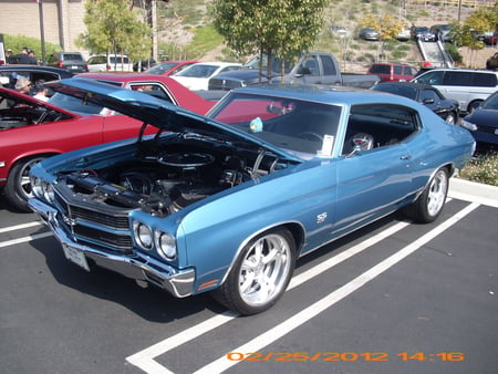 CHEVELLE AT CAR SHOW - fast, chevelle, outside, street, chevrolet, hot, cars, auto, show, cruiser, chevy, autos, car, carshow