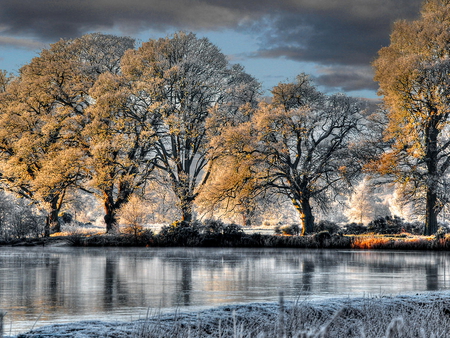 Frozen river - ice, sky, trees, water, winter, mirrored, nature, cold, reflection, clouds, frost, snow, beautiful, river, frozen, winter day