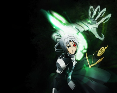 D.Gray-man allen walker