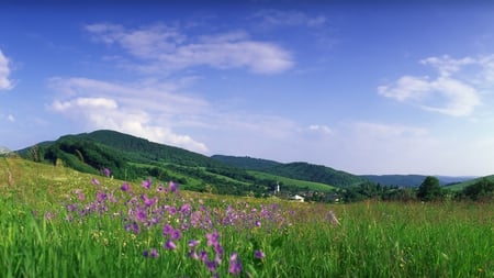 Beautiful View - view, sky, blue, beautiful, green