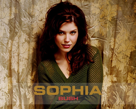 Sophia Bush, One Tree Hill - sophia bush, one tree hill, brook, oth