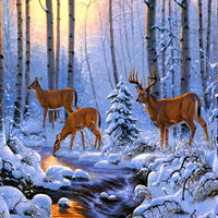 Deers in winter forest