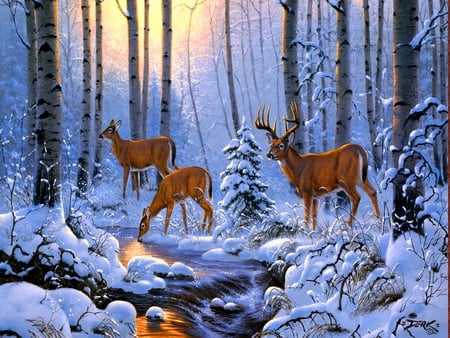 Deers in winter forest - winter, sunshines, water, creek, snow, forest, tree, deers, river, glowing, painting, sun, animals