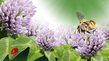 Stop and Smell the Clover - flowers, bee, summer, green, ladybug, lady bug, spring, clover